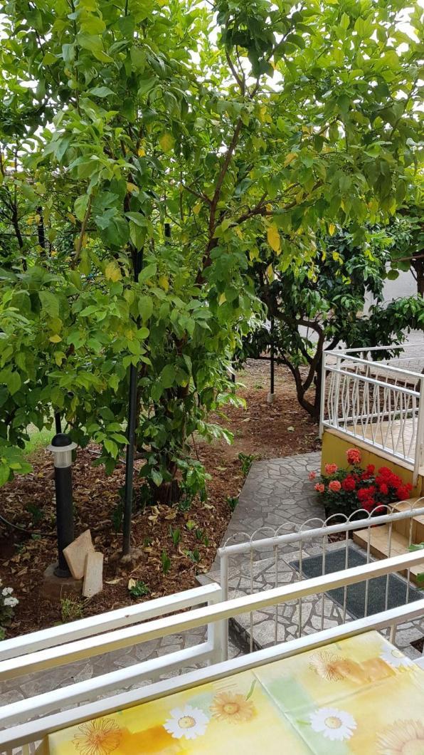 Apartments Ana Medulin Rom bilde